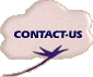 CONTACT-US